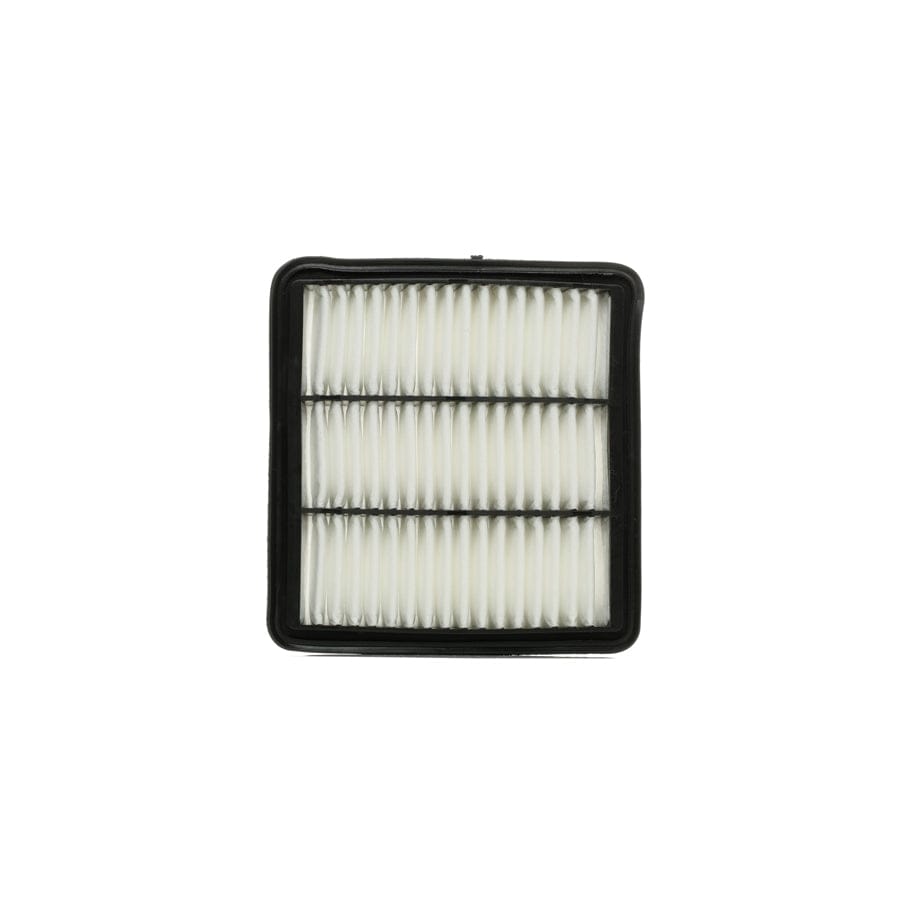 Ridex 8A0042 Air Filter