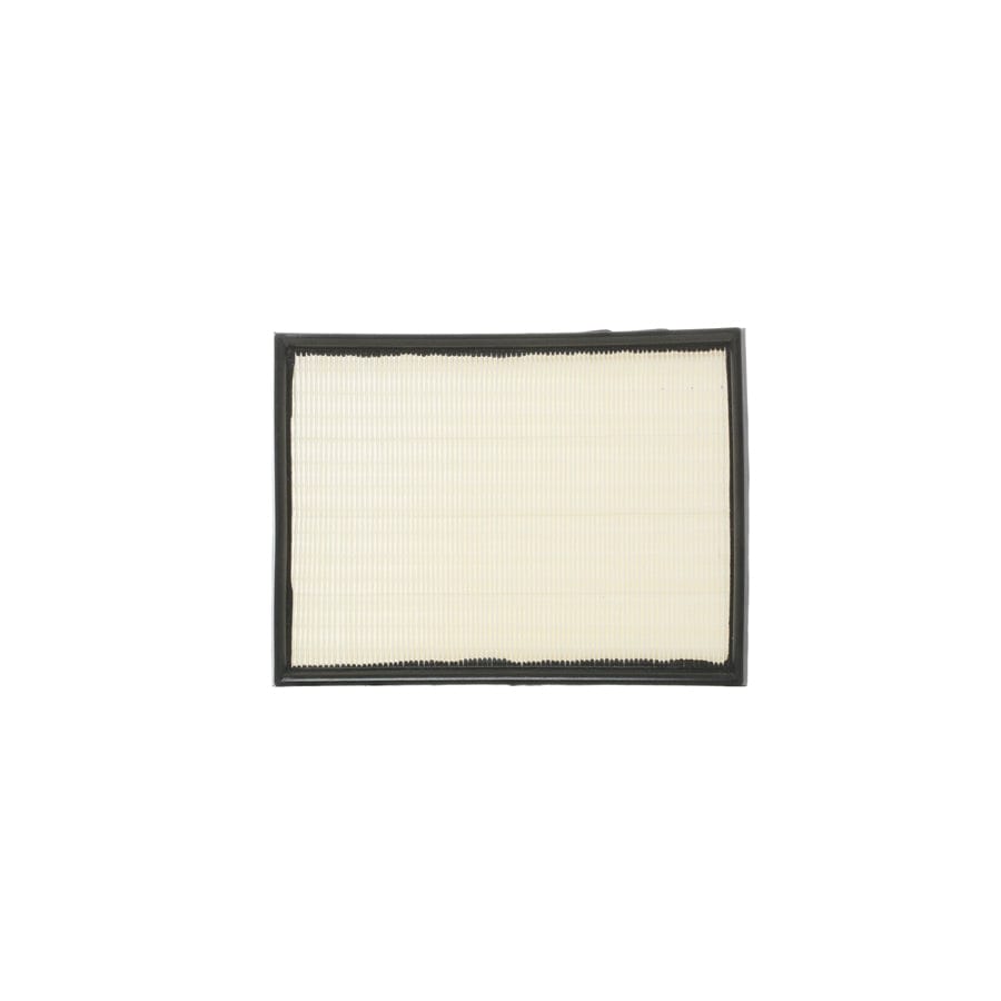 Ridex 8A0052 Air Filter