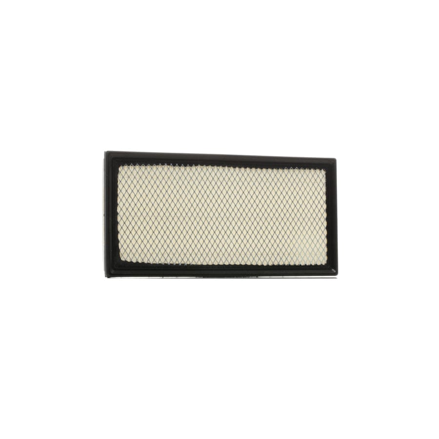 Ridex 8A0166 Air Filter