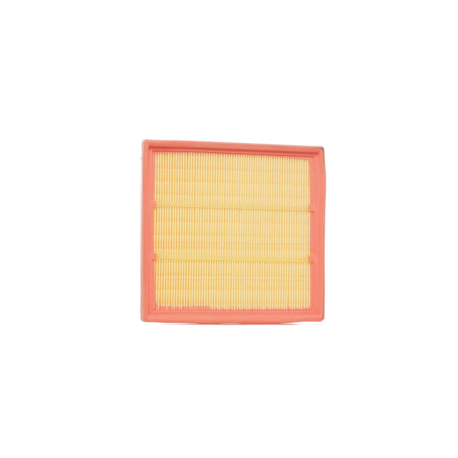 Ridex 8A0279 Air Filter