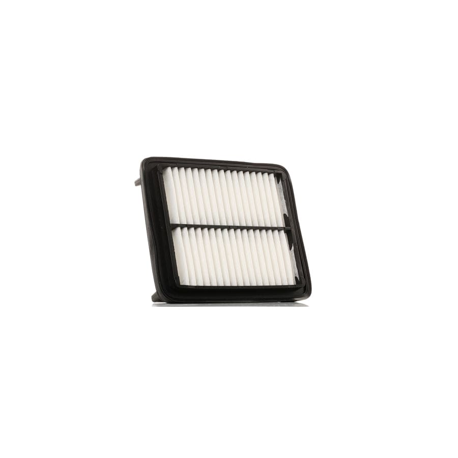 Ridex 8A0317 Air Filter