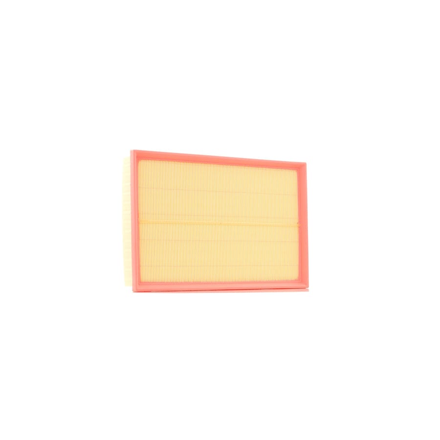 Ridex 8A0372 Air Filter