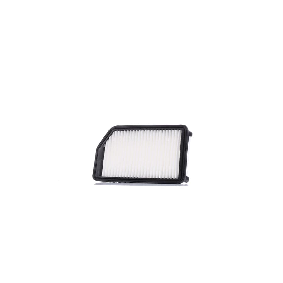 Ridex 8A0413 Air Filter