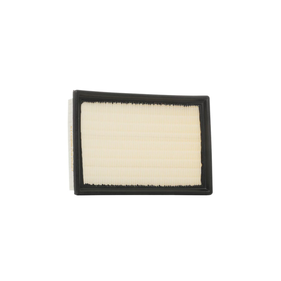 Ridex 8A0474 Air Filter