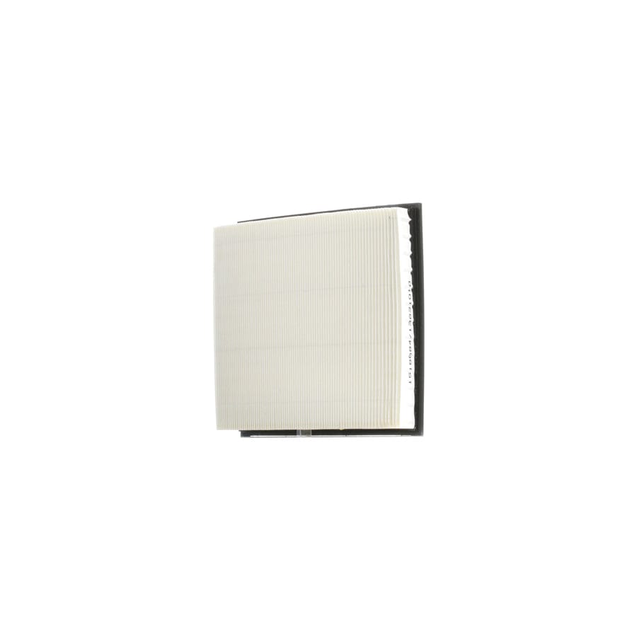 Ridex 8A0587 Air Filter