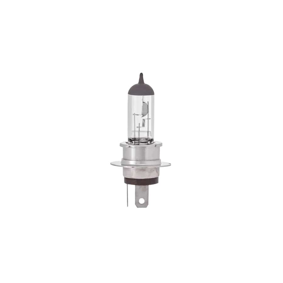 RING R463 12V 60/55W H4 P36t Halogen Headlamp