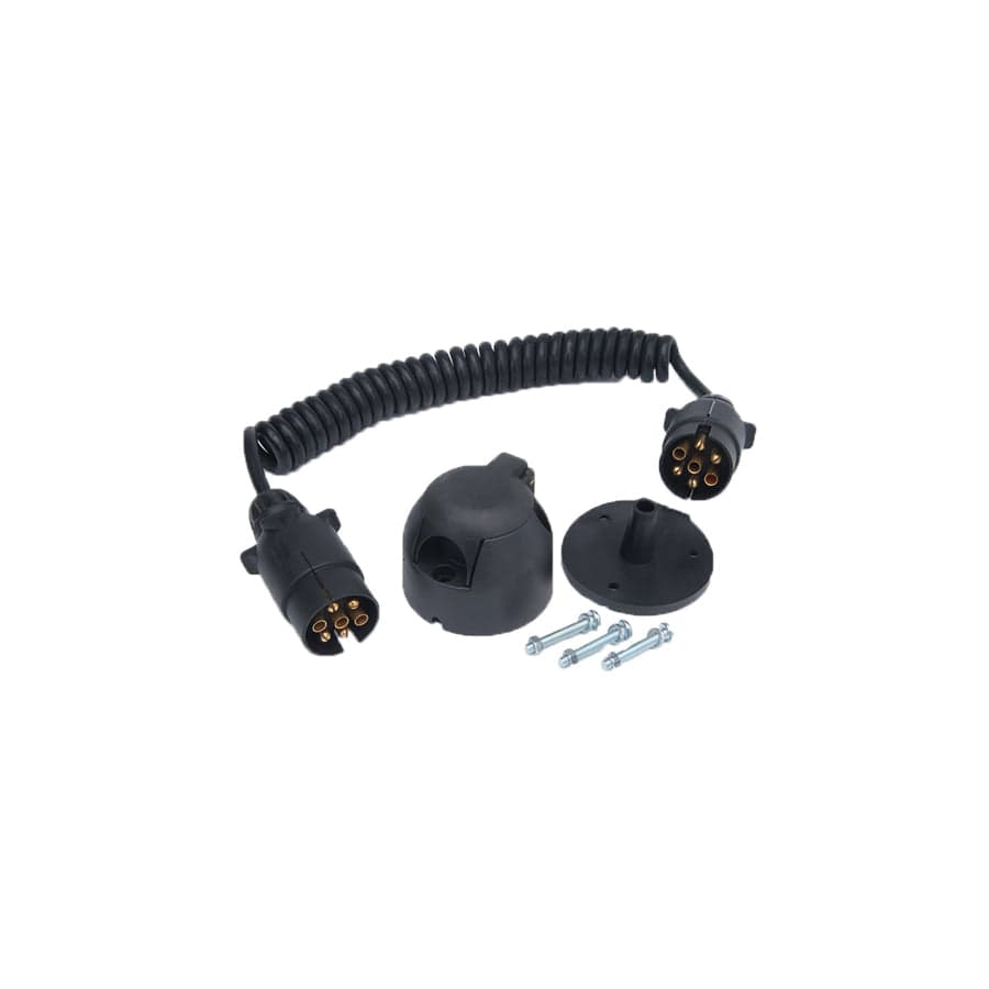 RING RCC120N 12N Pre-Wired Detachable Coiled Cable and 2 Plugs