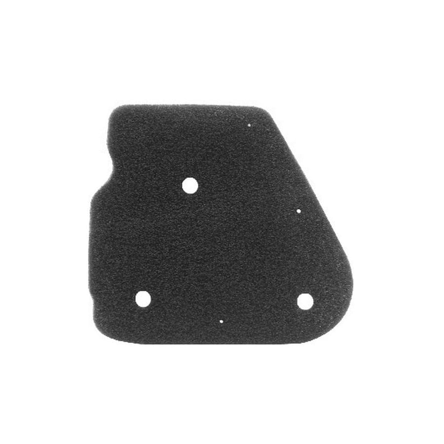 Rms 100600031 Air Filter