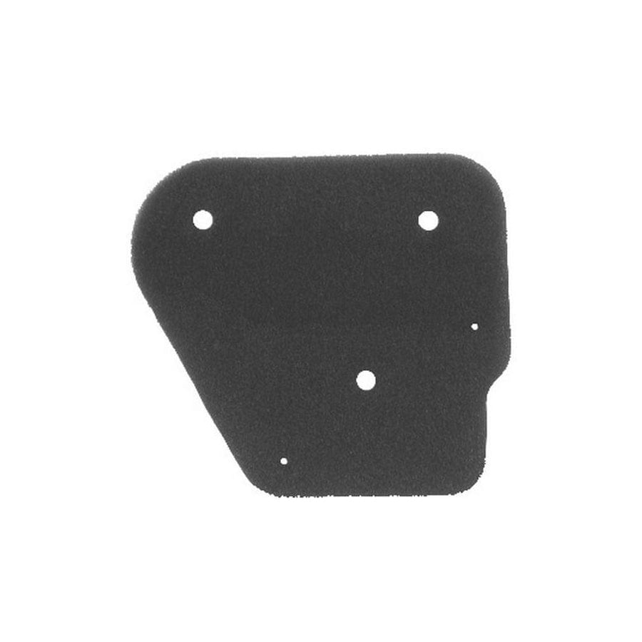 Rms 100600061 Air Filter