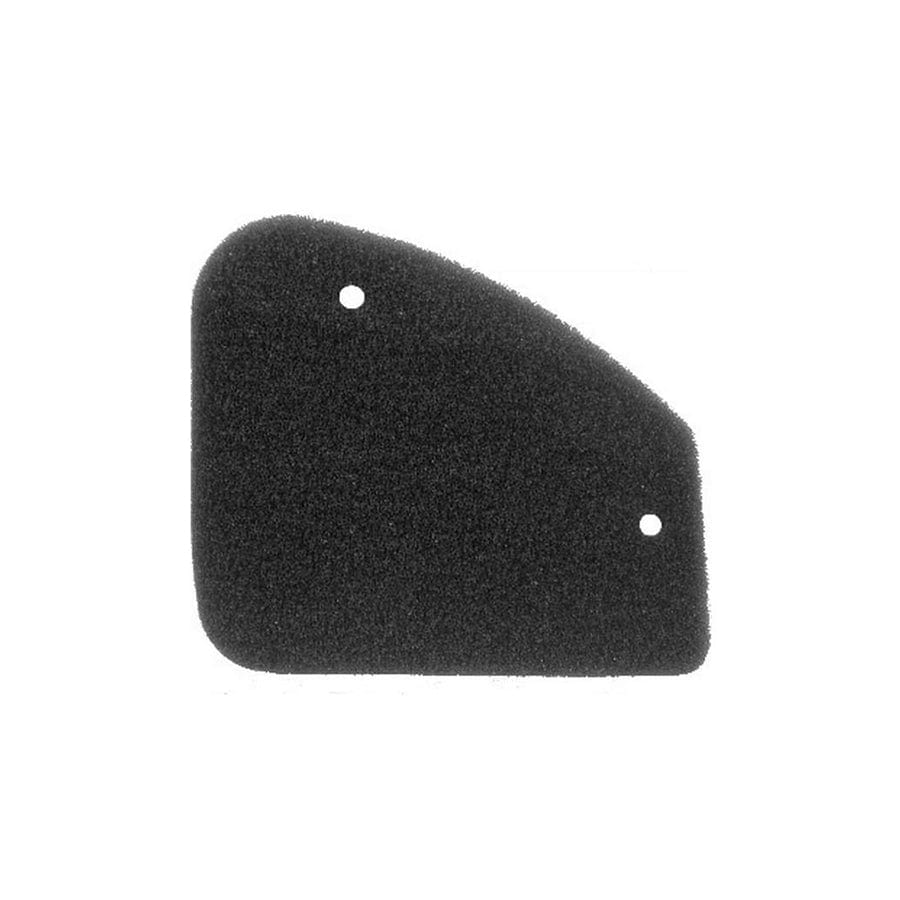 Rms 100600371 Air Filter