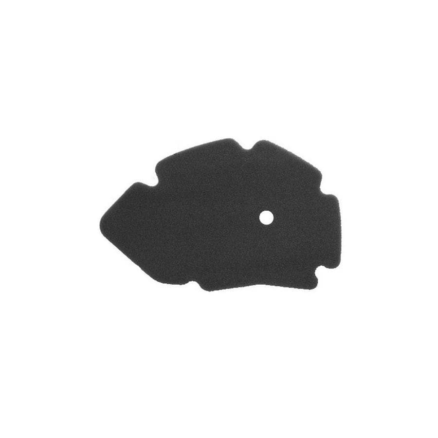Rms 100600881 Air Filter