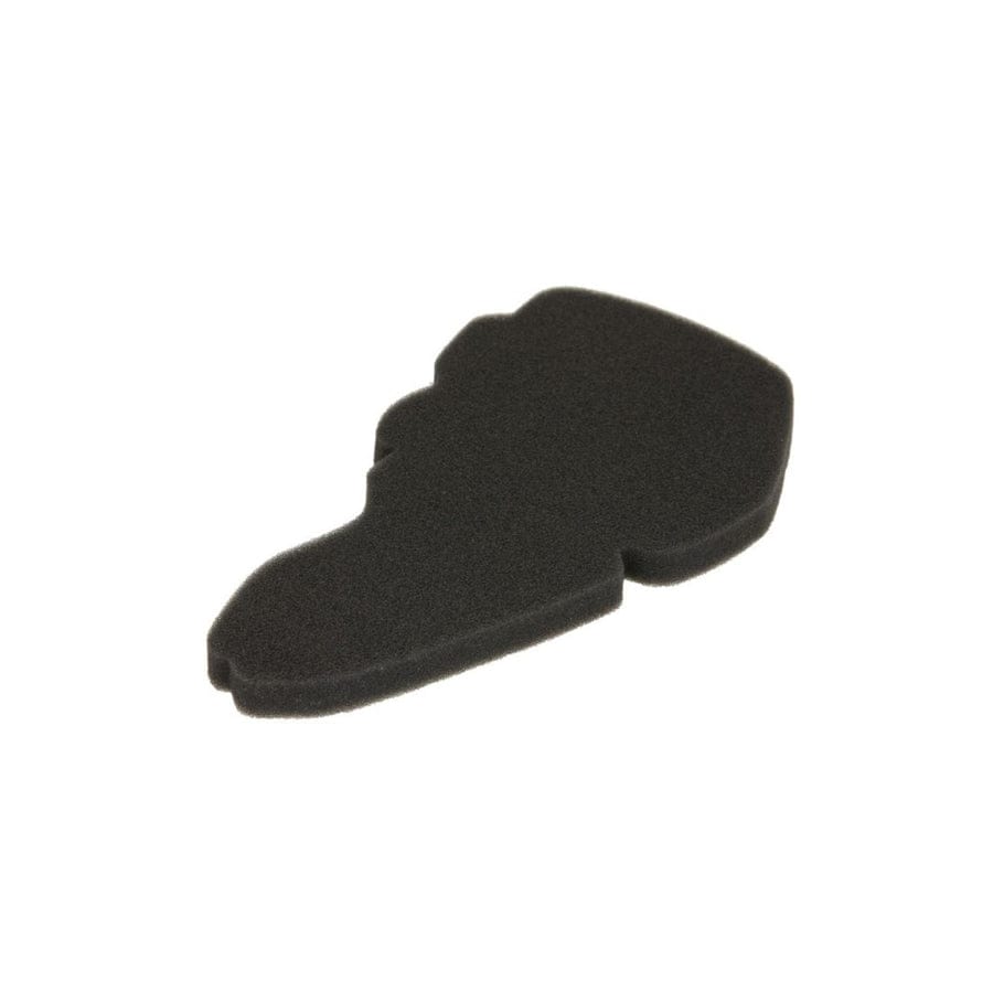 Rms 100600981 Air Filter