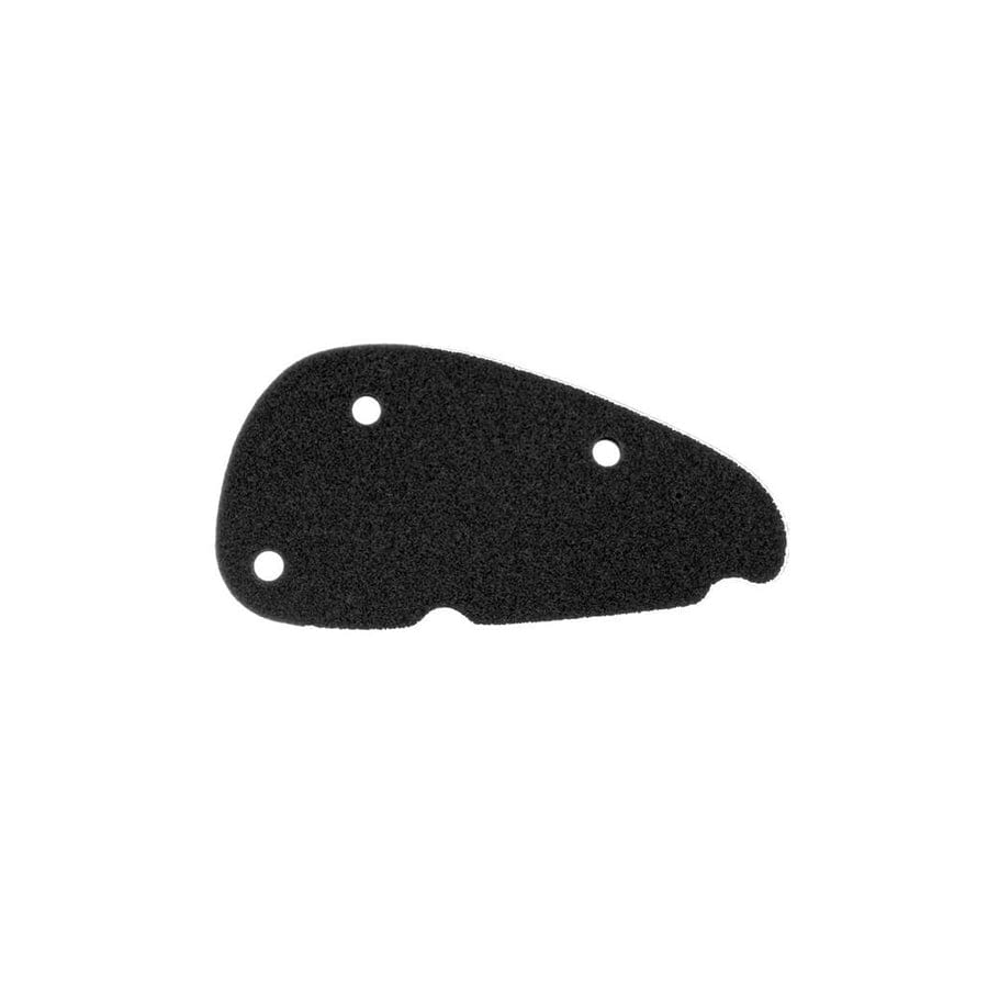 Rms 100601301 Air Filter