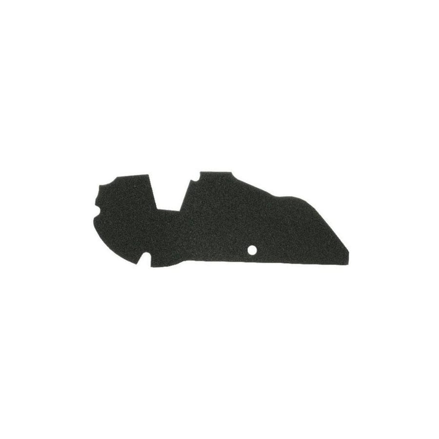 Rms 100602100 Air Filter