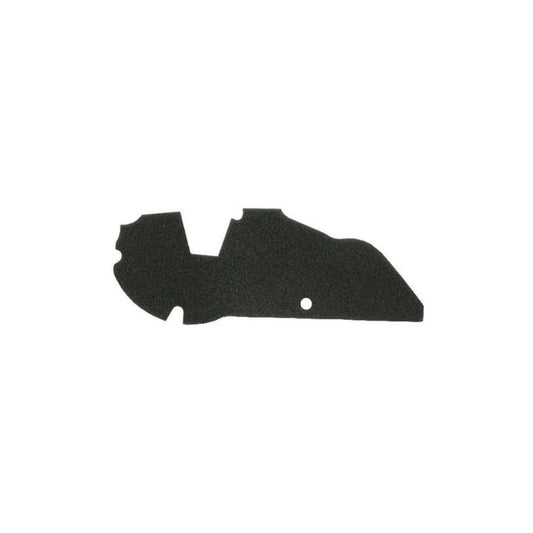Rms 100602100 Air Filter