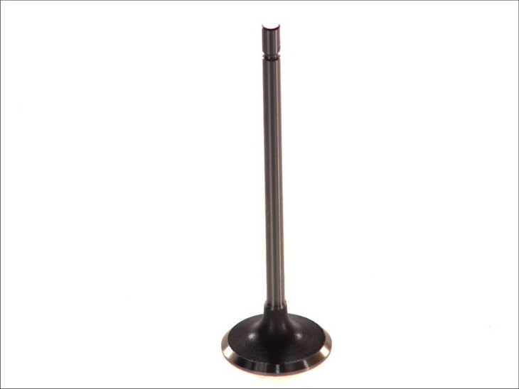 PARADOWSCY PAUD062 Intake Valve
