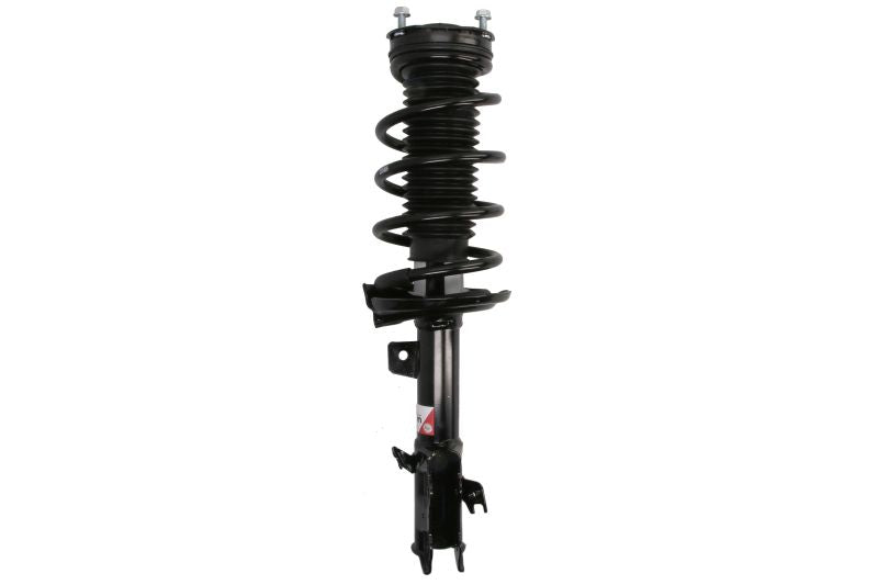 MAGNUM TECHNOLOGY SAG003MT Springs/Shock Absorbers Suspension Kit