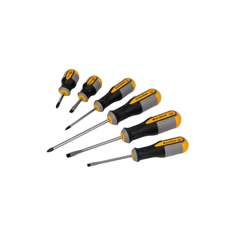 Roughneck ROU22198 Screwdriver Set, 6 Piece