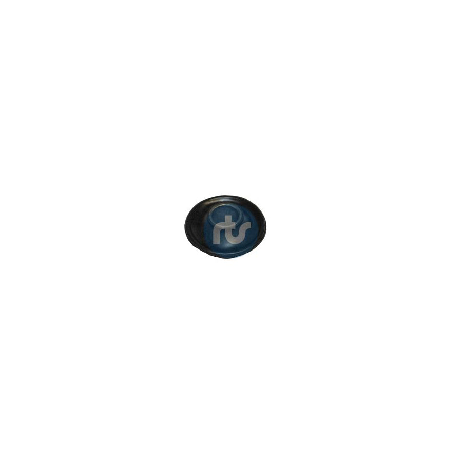 Rts 01700204 Control Arm / Trailing Arm Bush
