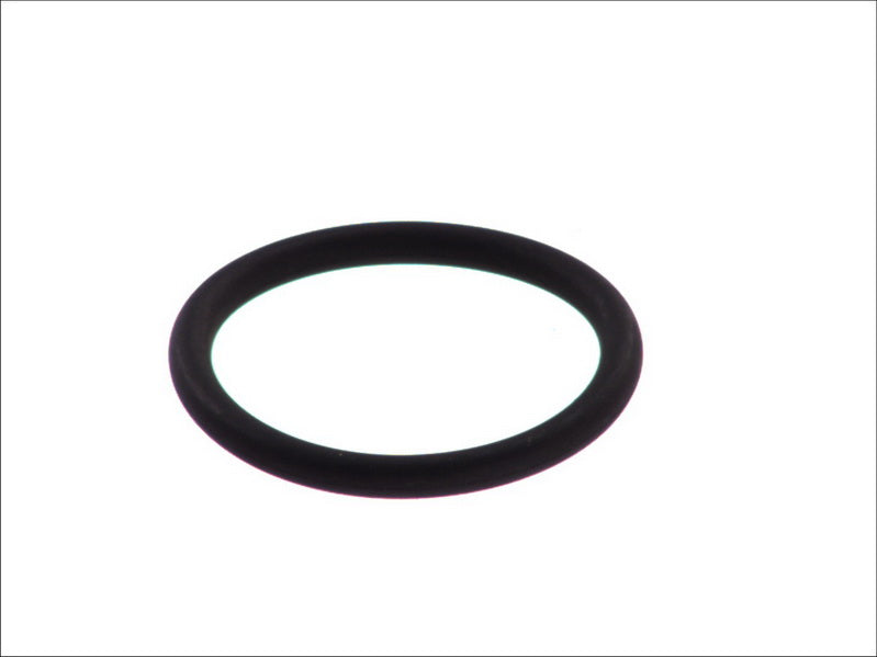 LEMA LE127020 Gaskets