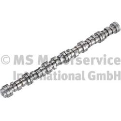 BF 20100713001 Camshaft
