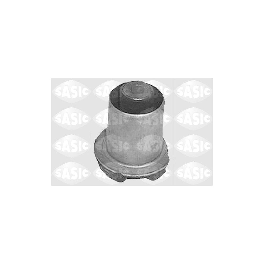 Sasic 4005527 Axle Bush