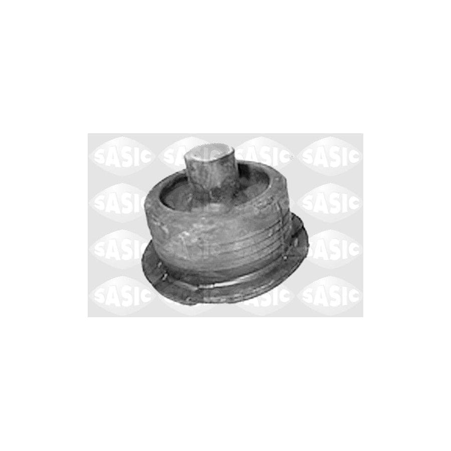 Sasic 9001663 Axle Bush