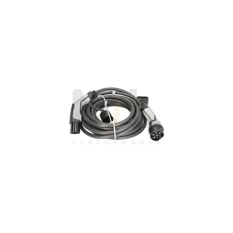 SCHNEIDER ELECTRIC EVP1CNX32322 Charging cable 32A, 22kW, 10m, Phases 1, IP44