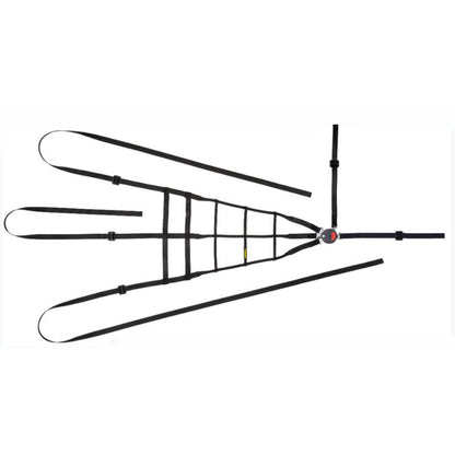 SCHROTH 09577 INTERIOR RACING NET 5POINT (RIGHT SIDE) FIA 8863-2013