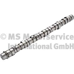 BF 20100413100 Camshaft
