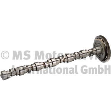 BF 20100346005 Camshaft
