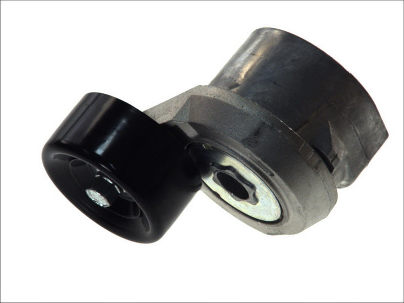 SKF VKM63022 V-Ribbed Belt Tensioner Pulley