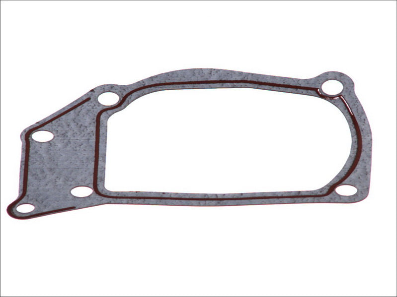 LEMA LE24279.00 Water Pump Gasket