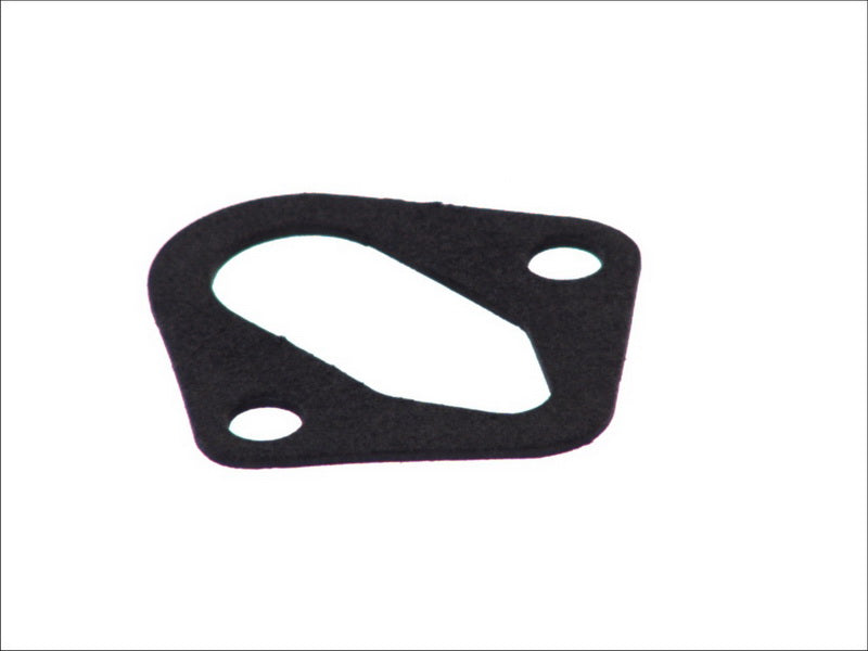 BPART 359.16.003 Water Pump Gasket