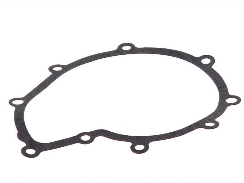 LEMA LE24245.00 Water Pump Gasket