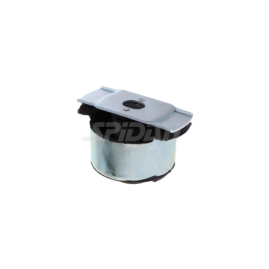 Spidan Chassis Parts 411653 Axle Bush For Renault Laguna
