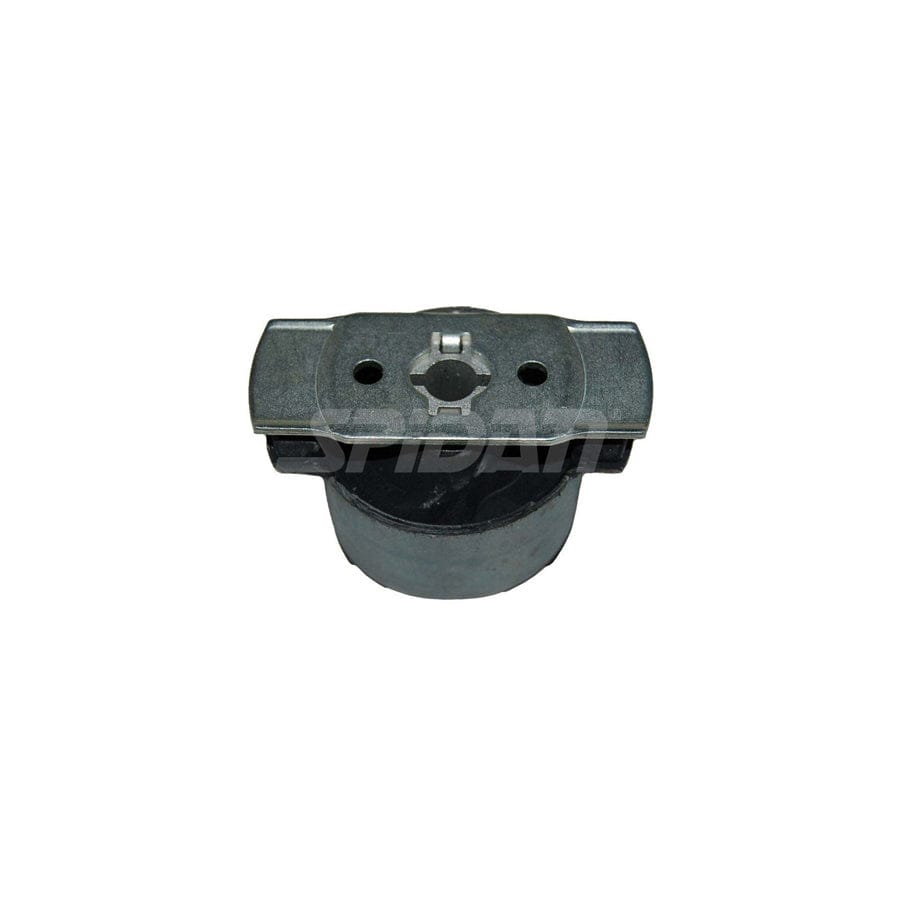 Spidan Chassis Parts 411720 Axle Bush For Renault Laguna