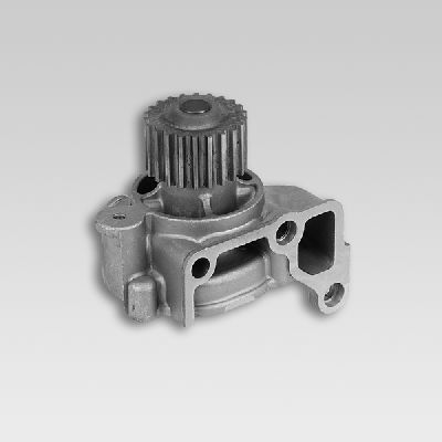 HEPU P716 Water Pump