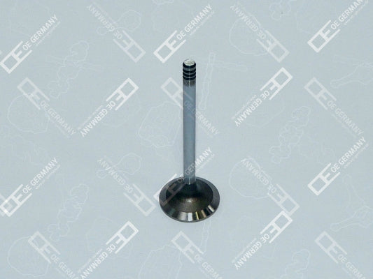 OE GERMANY 040520201200 Intake Valve