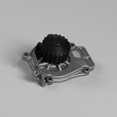 HEPU P785 Water Pump