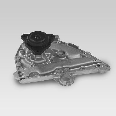 HEPU P928 Water Pump