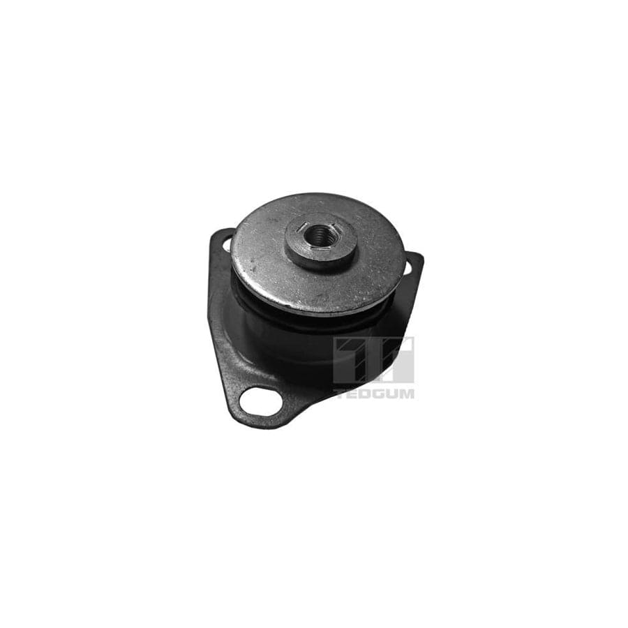 Tedgum 00059503 Mounting, Axle Bracket