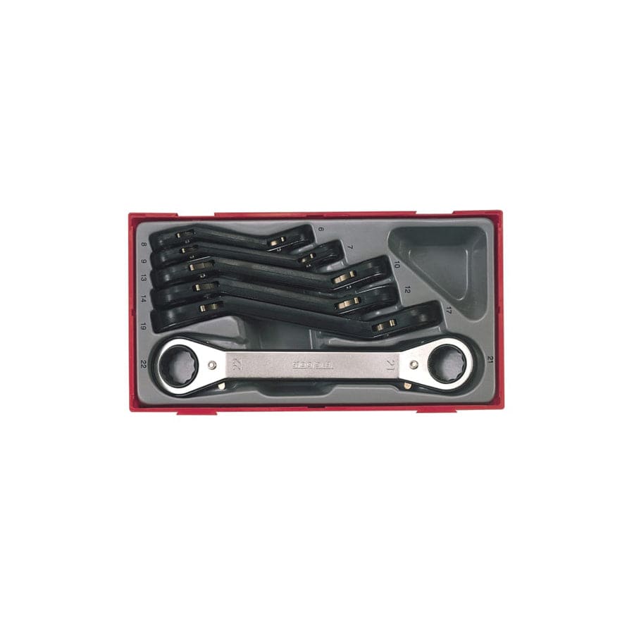 Teng TENTTRORS TTRORS Metric Ratchet Ring Spanner Set, 6 Piece