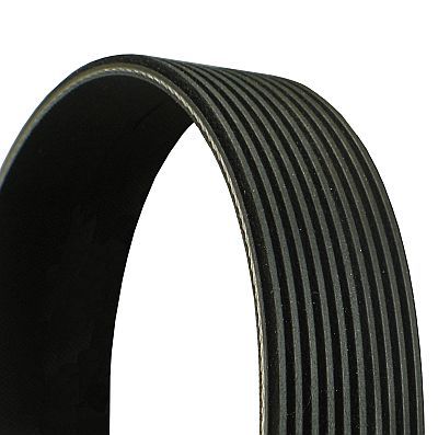 CONTITECH 10PK1410 V-Ribbed Belt