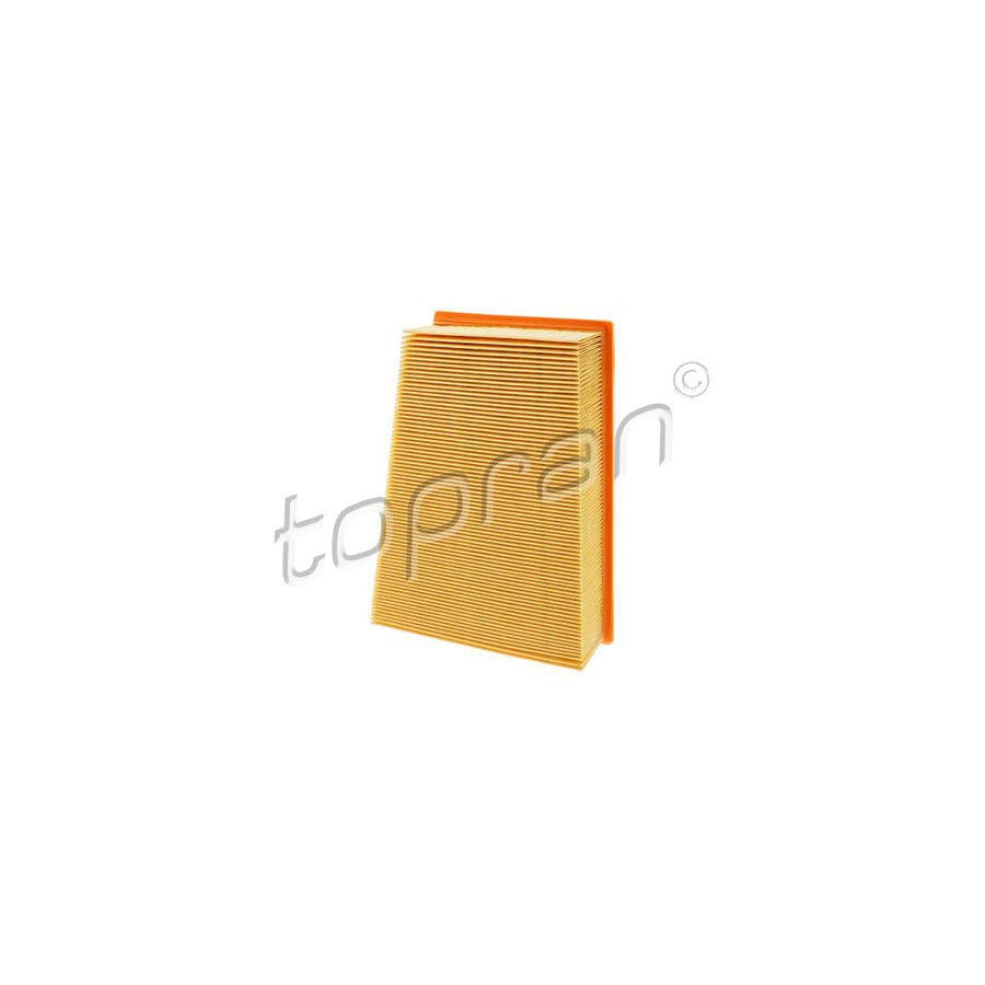 Topran 700 254 Air Filter