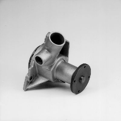 HEPU P456 Water Pump
