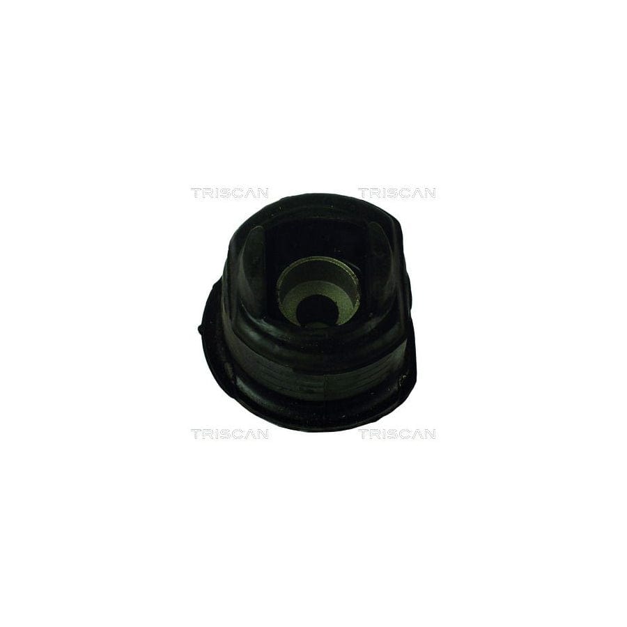 Triscan 8500 23804 Axle Bush