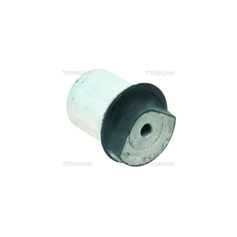Triscan 8500 24843 Axle Bush