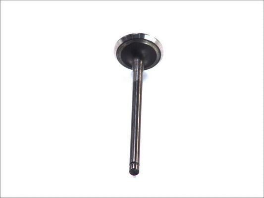 TRW V4305 Intake Valve