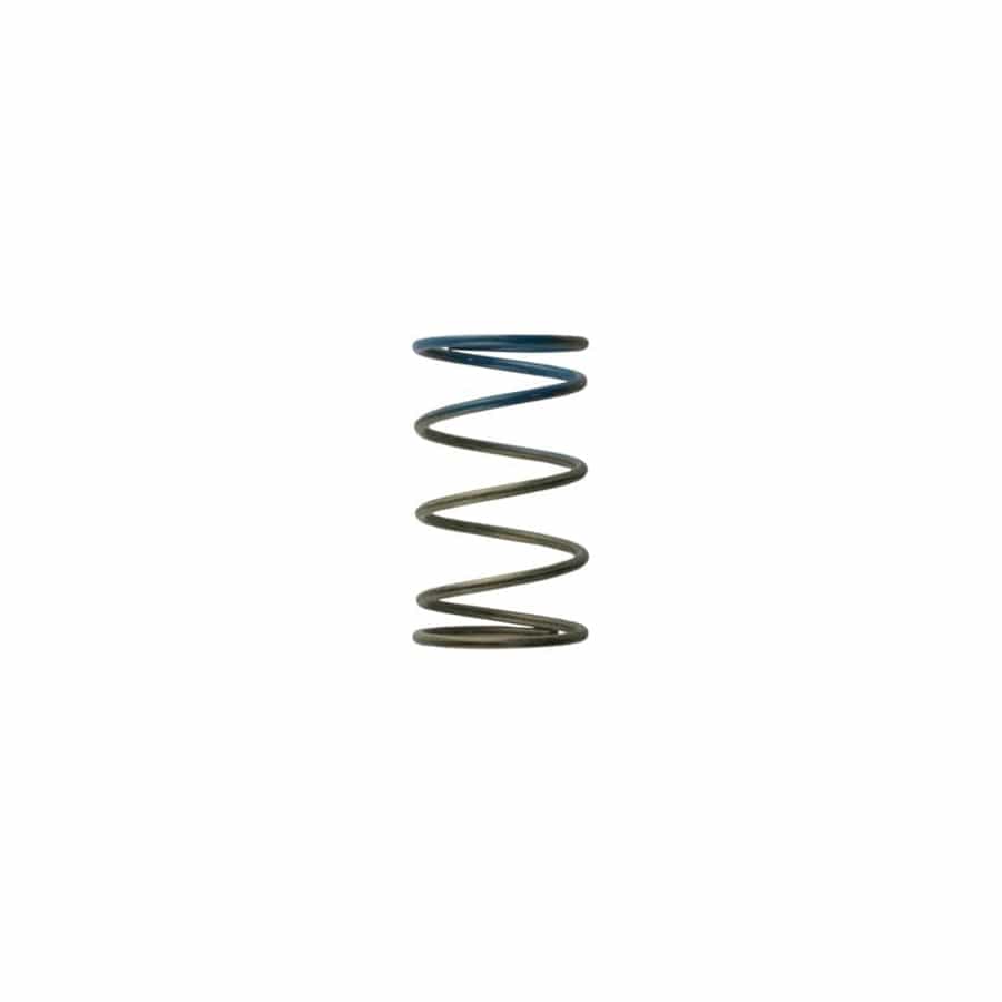 Turbosmart TS-0505-2005 Gen4 / IWG WG38/40/45/50L 10PSI OUTER SPRING - BROWN/BLUE